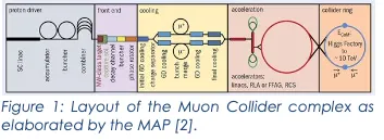 muon